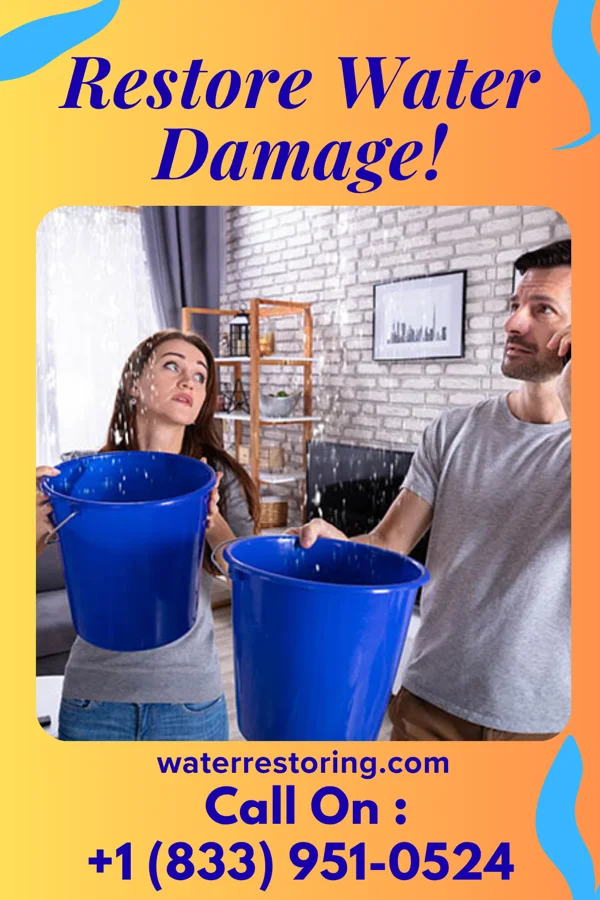 water restoration Eagle Water Cleanup Specialists Iota
